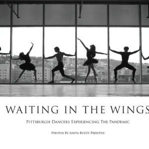 Waiting In The Wings - Cover photo Books